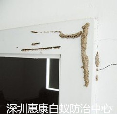 ڻݿρҾӰρ皢